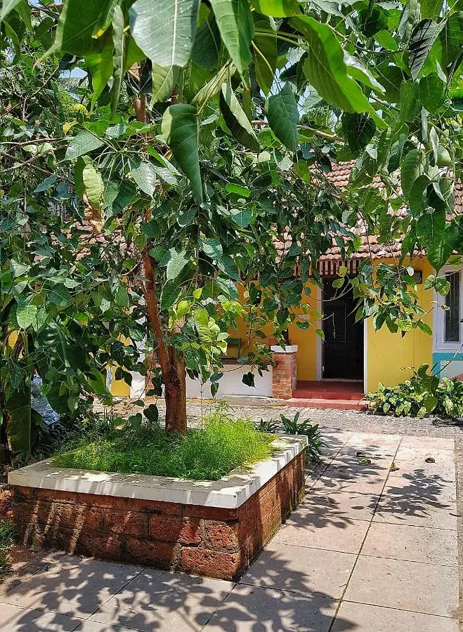 Design Ashram Hostel Kozhikode